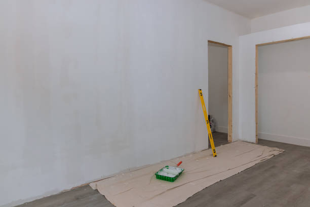 Best Drywall Sanding and Smoothing  in Atkinson, IL